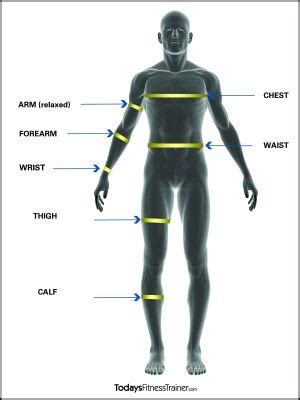 how to measure body girth